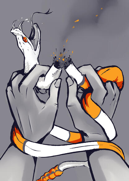 Book&#39;s Illustrations