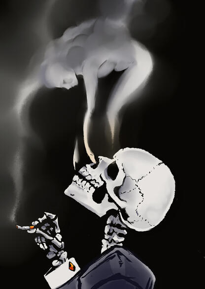 Book's Illustrations