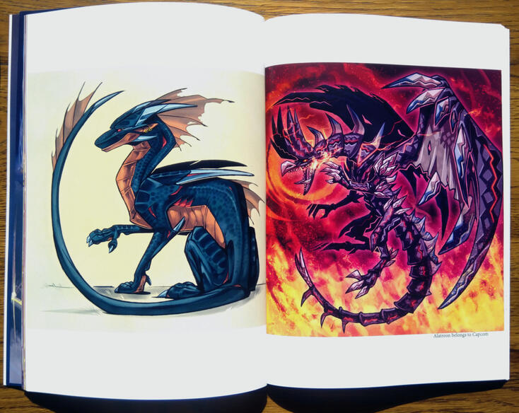 Artbook inside look